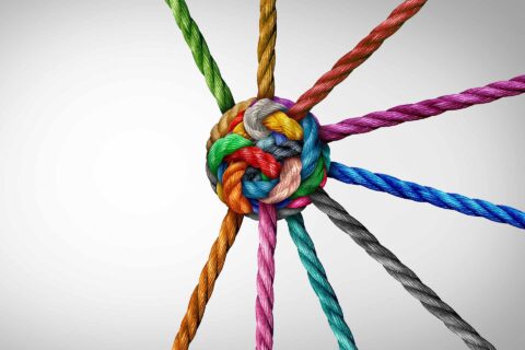 EHDS doet HL7 en IHE banden aanhalen